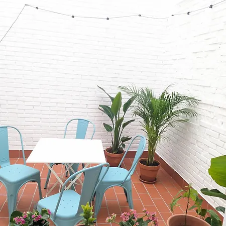 Patio's House *