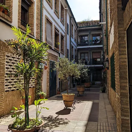Patio's House
